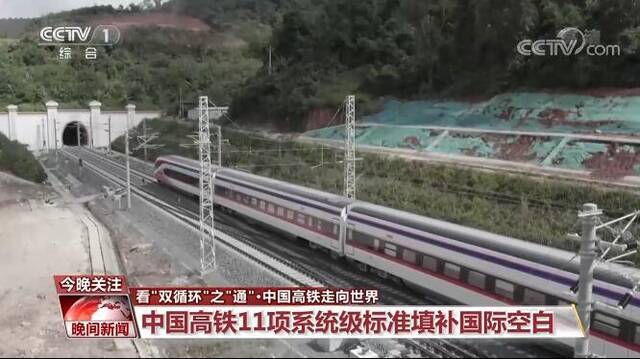 看“双循环”之“通”  中国高铁走向世界 11项系统级标准填补国际空白