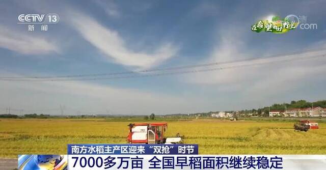 在希望的田野上  全国早稻收获近七成 晚稻栽插近三成