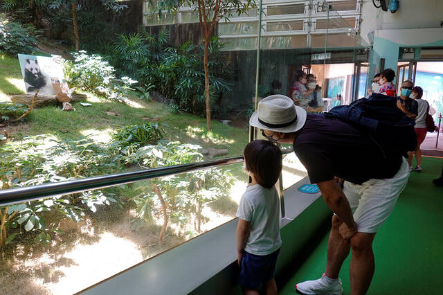 2022年7月21日，香港海洋公园向市民游客开放点位悼念大熊猫安安，市民游客前来悼念。IC图