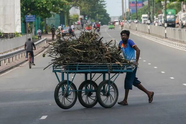 当地时间2022年7月6日，斯里兰卡首都科伦坡，小贩推着木柴出售。斯里兰卡严重的燃料危机，许多人已经习惯用柴火代替天然气。（图