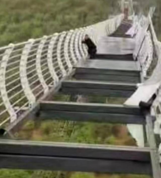 视频揪心！10岁上海男孩从景区网红桥上高坠！
