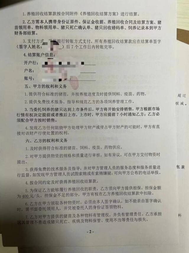 “养猪大户”买不起饲料？警惕代养风险社会化