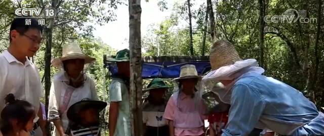 暑期 遇见大自然  体验生态乡村野趣 激发孩子求知欲