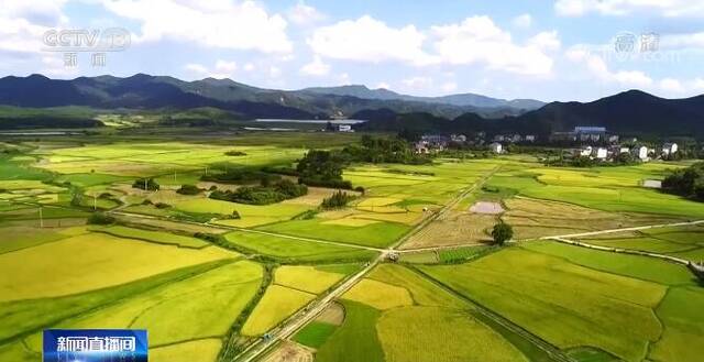 在希望的田野上  各地积极应用绿色储粮技术 确保粮食常储常新