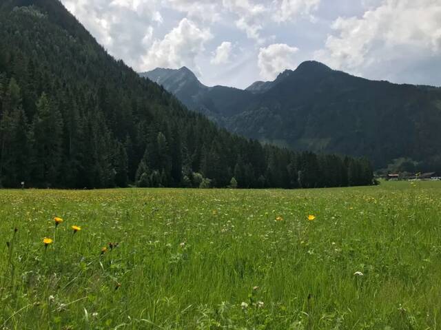 2021年夏季玮玮摄于奥地利高地陶恩国家公园（受访者供图）