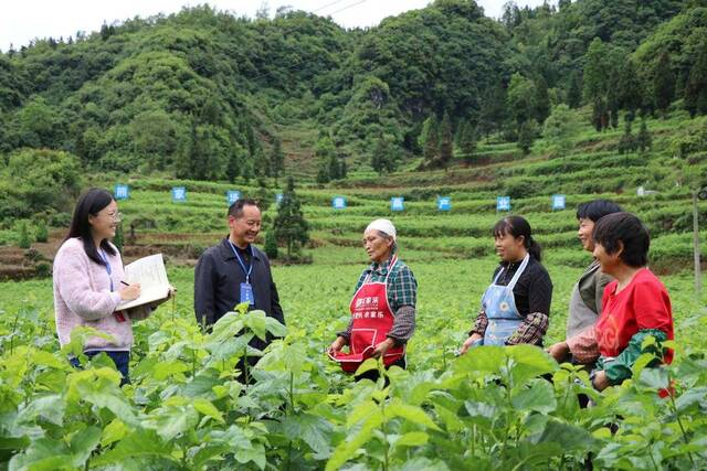 镜头︱以强有力监督服务保障乡村振兴