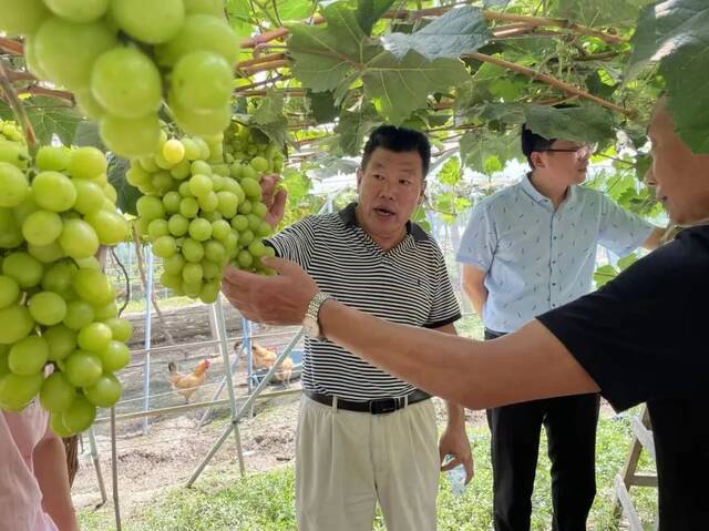 文字｜农学院康敏汪瑜辉