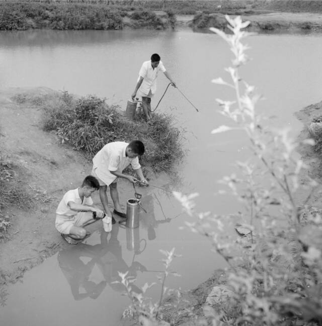 1964年，积水导致蚊蝇滋生，崇文区卫生防疫站工作人员在广渠门外将军坟积水坑消毒作业。李晞摄