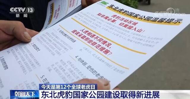 第12个全球老虎日  我国老虎保护成效显著 野生东北虎超60只