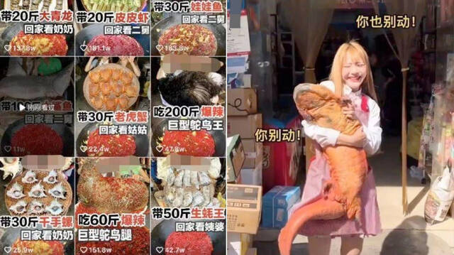 “提子”吃过的猎奇食材/图源：网络