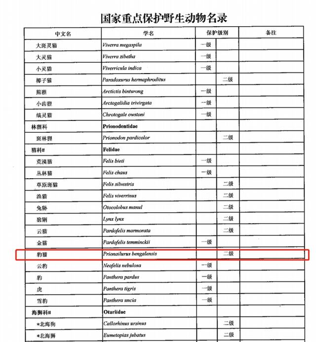 豹猫是国家二级保护动物。截图自中国政府网