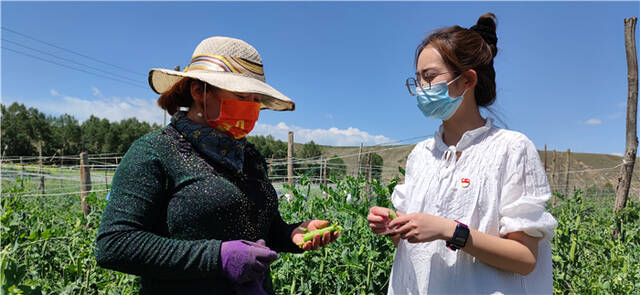 疫情防控期间，省纪委监委驻村帮扶工作队了解村民蔬菜种植销售情况。