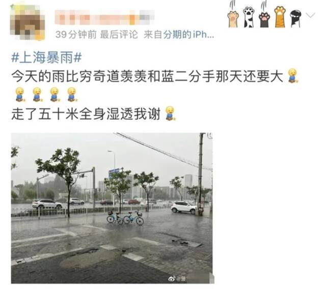 冰雹+高温+雷电+暴雨+大风，上海五预警高挂！你拍到冰雹了吗？