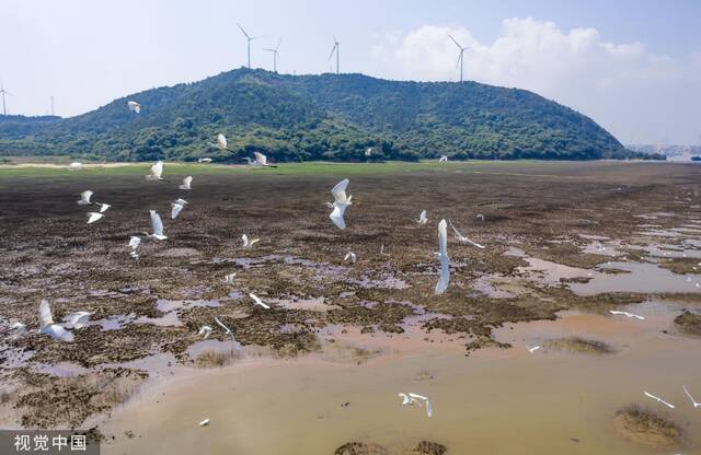 2022年7月31日，江西九江，鄱阳湖都昌矶山水域附近，滩涂、湿地露出水面。