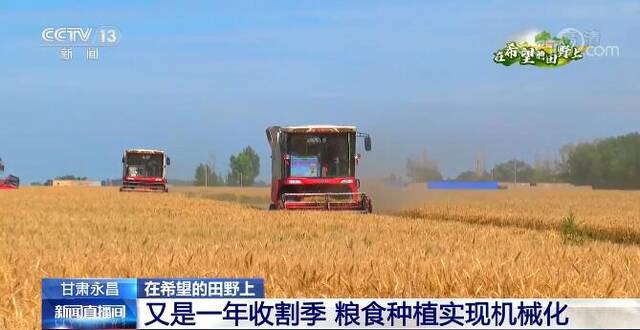 在希望的田野上  又是一年收割季 甘肃永昌粮食种植实现机械化