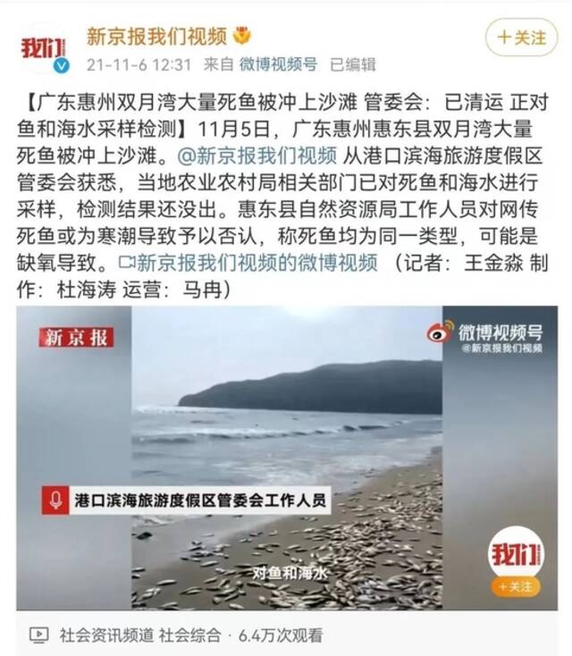 明查｜海滩上出现大量死鱼，系解放军演习所致？与军演无关！