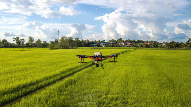 全球连线  中国农业无人机助力泰国农业发展