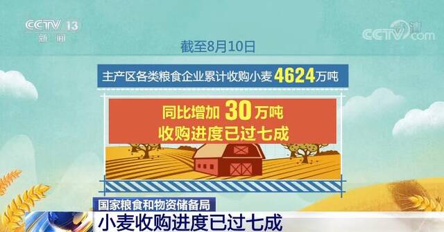 国家粮食和物资储备局：小麦收购进度已过七成