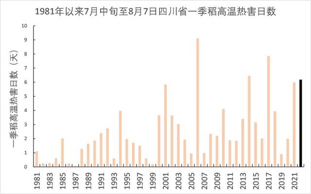 极端高温干旱！水稻生产形势堪忧！