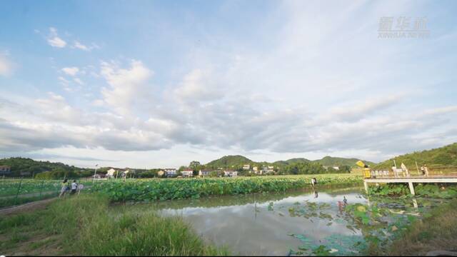 新华全媒+｜湖南株洲：“夜经济”点亮美丽乡村