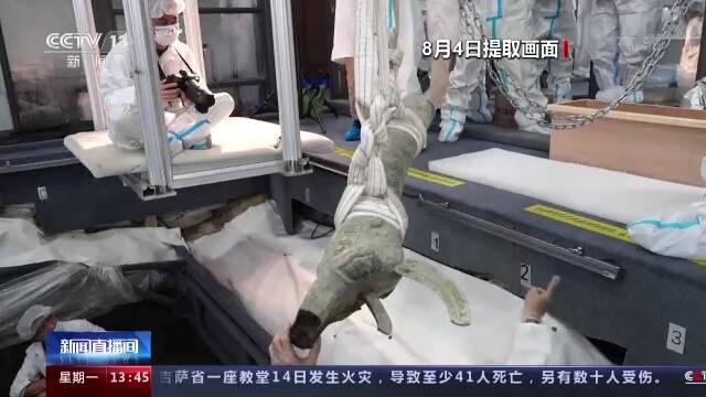 三星堆8号坑“上新”：“猪鼻龙”“四翼小神兽”等再现新奇特