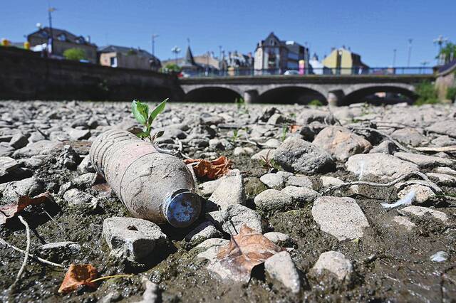 12日，法国东部贝尔福市一座桥下的河流已完全干涸。（视觉中国）