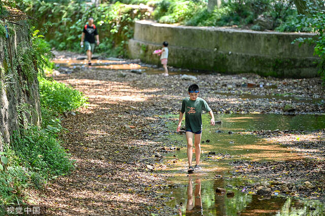 8月15日，杭州，连日高温少雨，九溪水量明显减少，市民在溪中寻找小水坑嬉水。视觉中国图