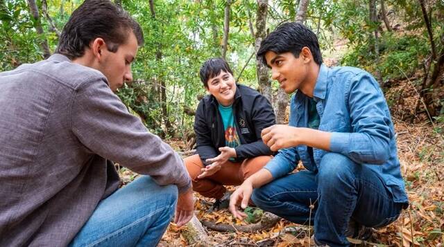 美国加州高中生在社区科学平台中发现两个蝎子新物种