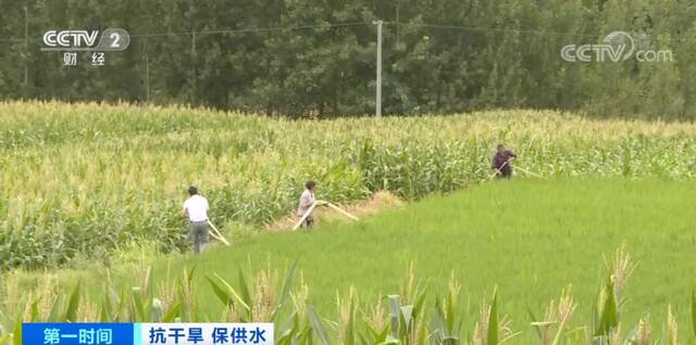 重庆多地饮水告急！安徽多地启动“应急响应”！三峡水库开启“紧急补水”模式