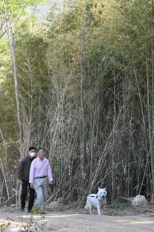 文在寅卸任后，在乡间小道遛狗（社交平台）