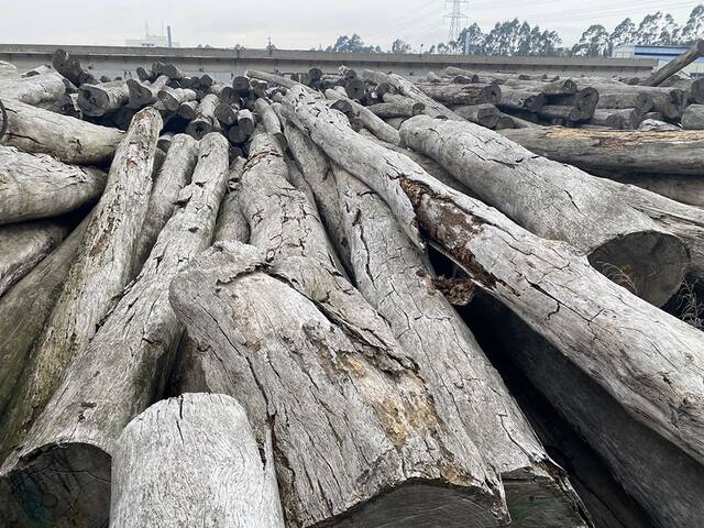 诉争多年未有定论，这批红木仍被堆放在莆田市秀屿区的一家木材工厂的空地上。