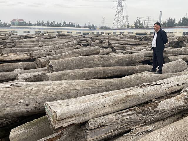 诉争多年未有定论，这批红木仍被堆放在莆田市秀屿区的一家木材工厂的空地上。本文图片受访者供图