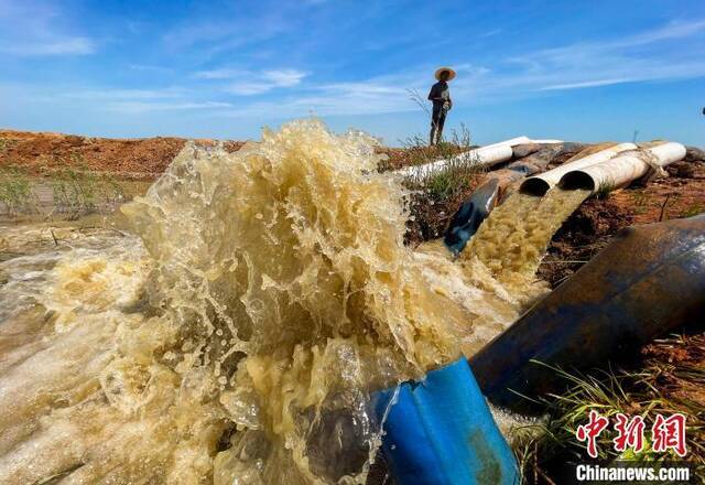 江西省九江市都昌县周溪镇枭阳10号附坝，抽水泵在鄱阳湖取水，经过三级提灌，为坝内五千亩稻田灌溉保苗。傅建斌摄