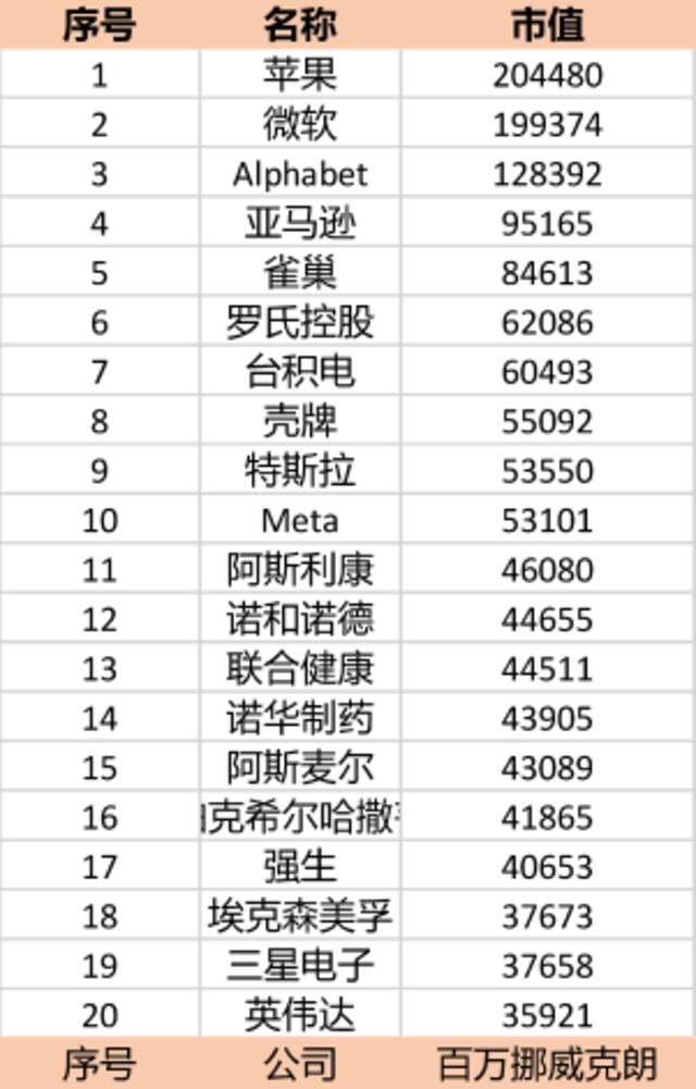 股票投资前20大重仓股，来源NBIM。