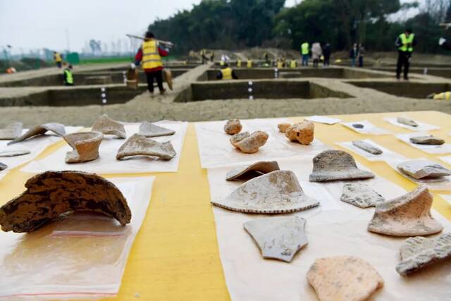 1月21日，四川成都市宝墩遗址，现场发掘出土了大量陶器残片和石器残件。摄影/本刊记者张浪