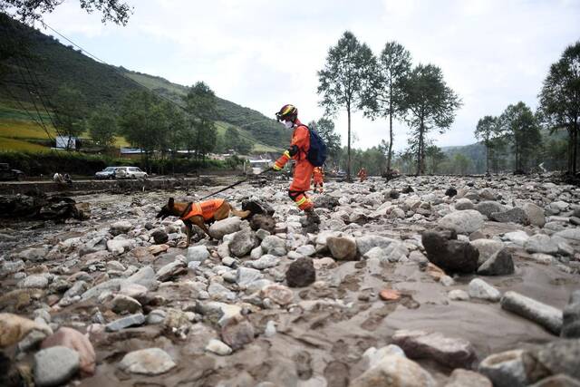 8月18日，消防队员在大通县青山乡沙岱村开展搜救。新华社记者张宏祥摄
