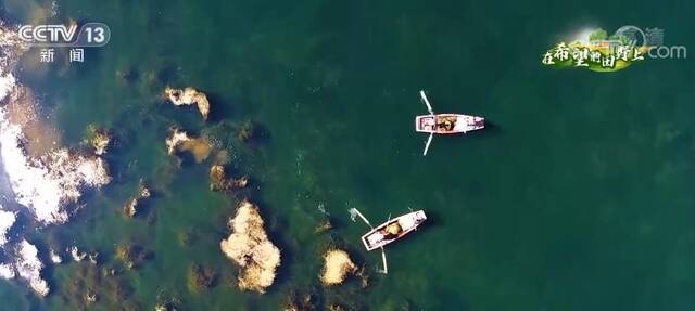 在希望的田野上丨河北卢龙：湿地生态好 清渠润良田