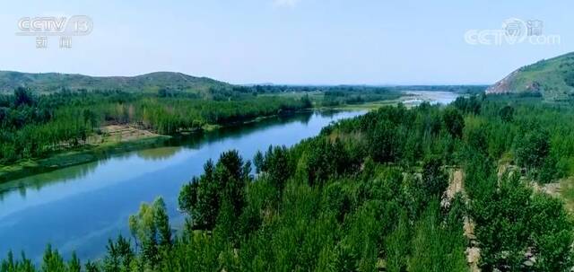 在希望的田野上丨河北卢龙：湿地生态好 清渠润良田