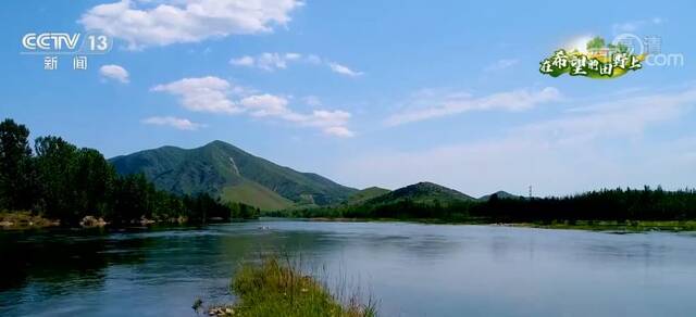 在希望的田野上丨河北卢龙：湿地生态好 清渠润良田