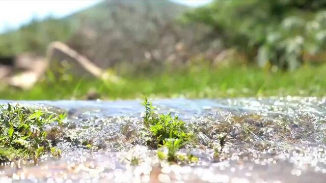 新华全媒+｜山西：汾河上游的“绿色卫士”