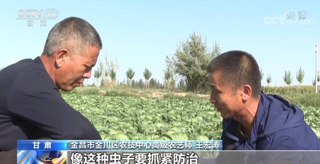 在希望的田野上  粮菜轮作复种 拓宽农民增收路