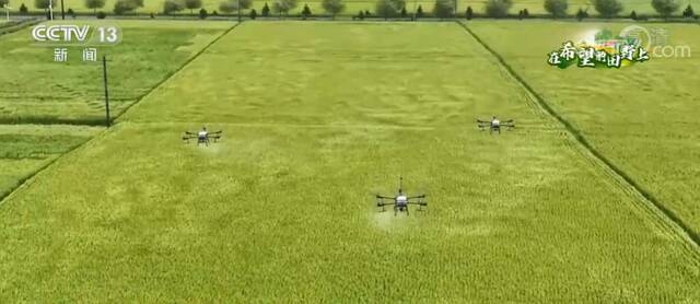 在希望的田野上  吉林永吉：无人机施肥成主流 新稻种助力农田更高产