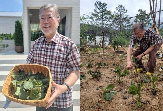 文在寅卸任后，回到老家务农为乐（图源：文在寅社交媒体）