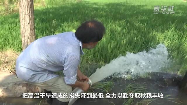 新华全媒+｜安徽农业生产一线抗旱见闻