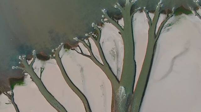 鄱阳湖现“大地之树”自然景观现象