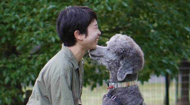 《当代生物学》杂志：研究发现狗与主人团聚时会流泪