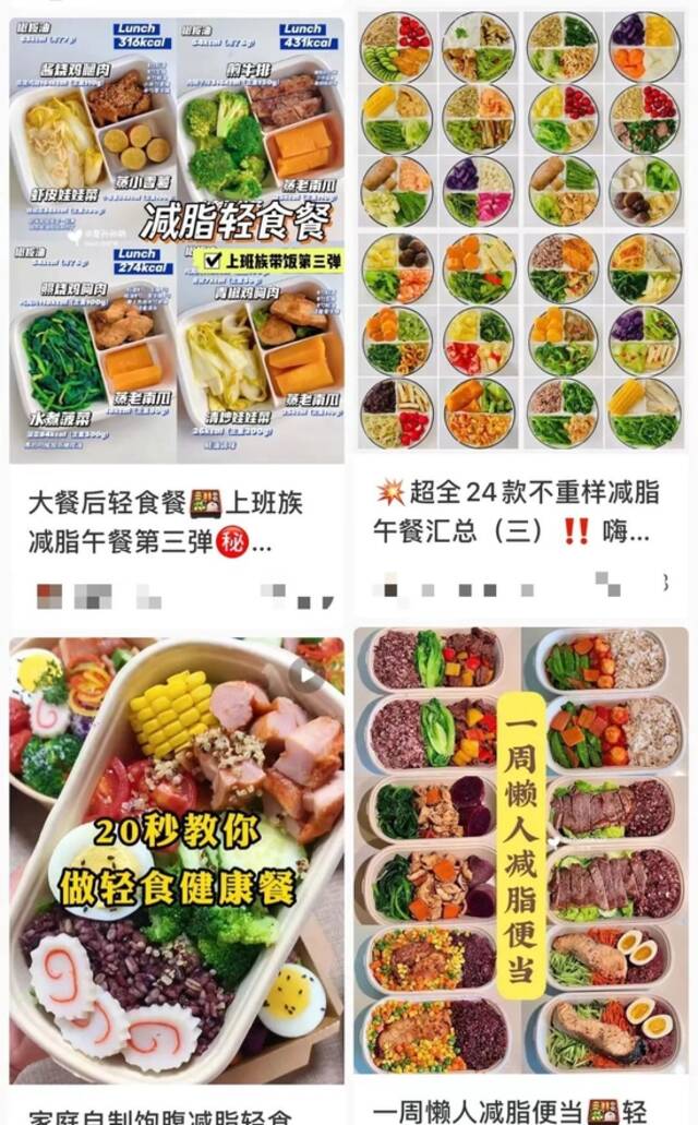 小红书上一搜轻食餐，教程帖、分享帖一堆。/截图