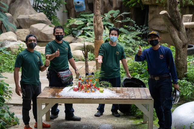 8月23日，在马来西亚吉隆坡附近的马来西亚国家动物园，饲养员为大熊猫“兴兴”准备生日大餐。新华社记者朱炜摄