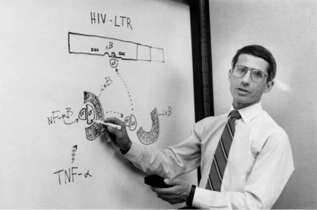  1990年，作为美国国立卫生研究院艾滋病研究负责人的福奇在他的实验室