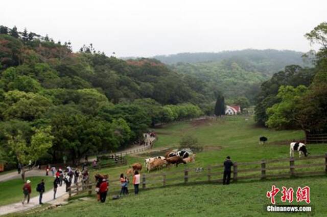 资料图：台湾休闲农业、乡村旅游名点——苗栗飞牛牧场。陈立宇摄